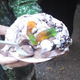 Illustration for article titled Here Are All the Wonderful/Horrifying Things I Ate At the MD Ren Faire
